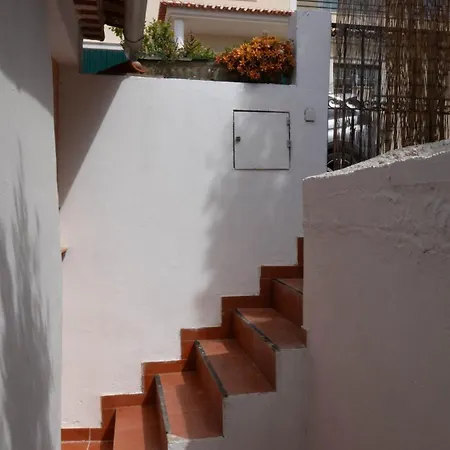 Cozy & Garden For People & Dogs Tatil Evi