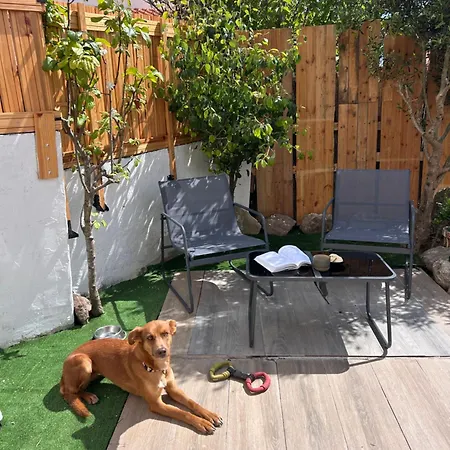 Cozy & Garden For People & Dogs Tatil Evi
