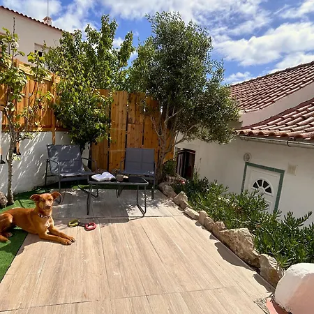 Cozy & Garden For People & Dogs Lourinhã