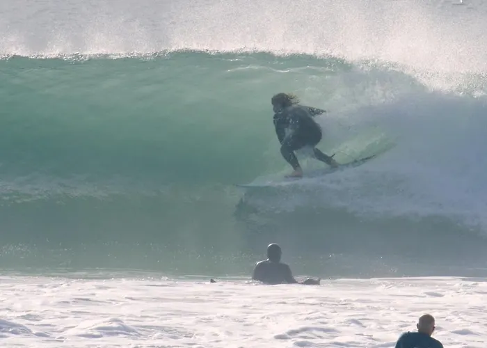 Cozy & Garden For People & Dogs *