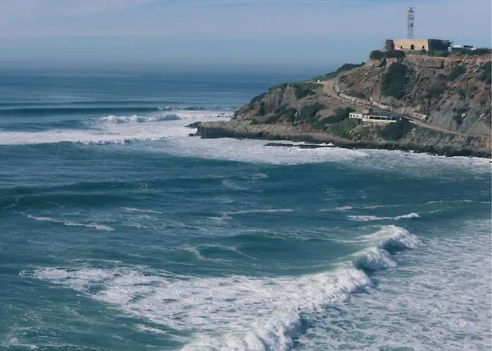 Cozy & Garden For People & Dogs