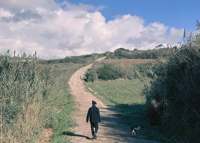 Cozy & Garden For People & Dogs Tatil Evi