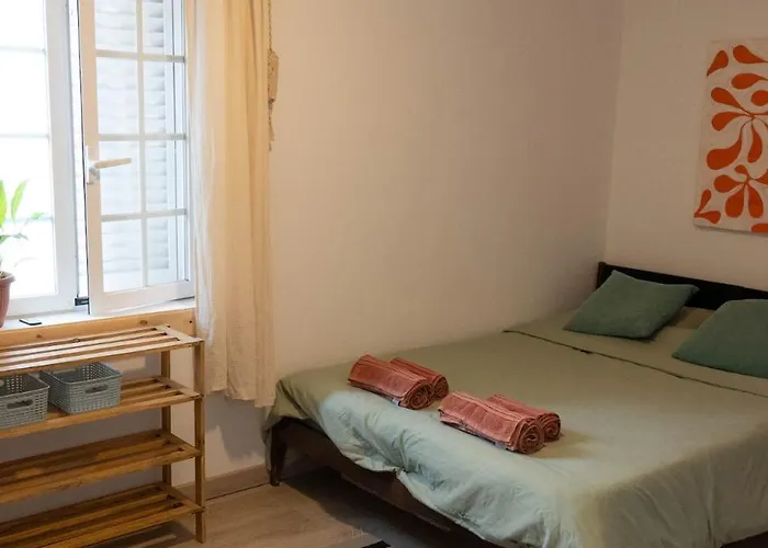 Cozy & Garden For People & Dogs