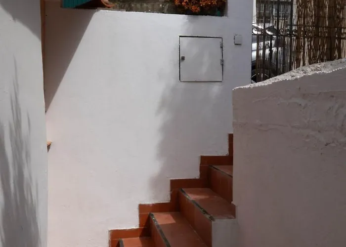 Cozy & Garden For People & Dogs Tatil Evi